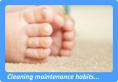 Northport, NY Carpet Cleaning
