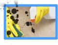 Carpet Cleaning Northport, NY