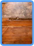 Water Damage Restoration Northport, NY