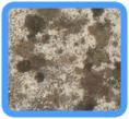 Northport, NY Water Damage Restoration